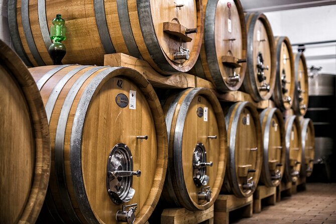 Winery Tour and Private Tasting in Montefalco - Getting to the winery from Montefalco