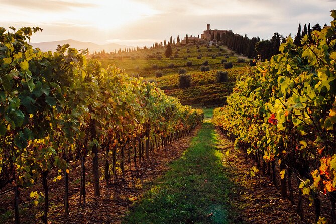 Winery Tour and Tasting - Why the views add real value