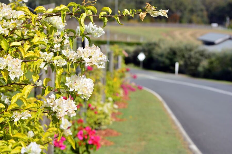 Winery Tour and Tasting - Who will enjoy this Sirromet visit?