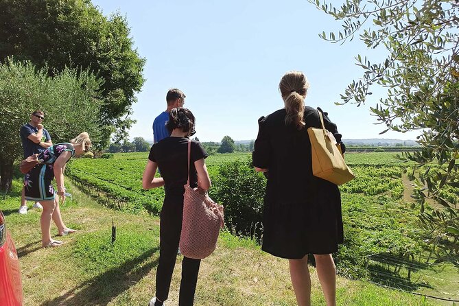Winery Tour and Tasting of Garda Wines in Lazise - Local food makes this more than a liquid tasting