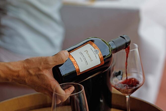 Winery Tour and Tasting of Garda Wines in Lazise - Language, group size, and the pace of the afternoon