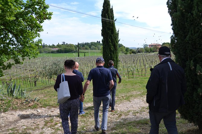 Winery Tour and Tasting of Garda Wines in Lazise - Is $50.79 a fair price?