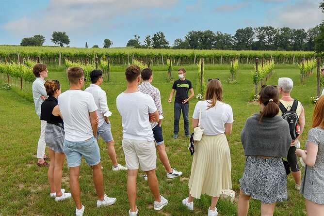 Winery Tour and Tasting of Garda Wines in Lazise - From harvest to bottling in the cellar