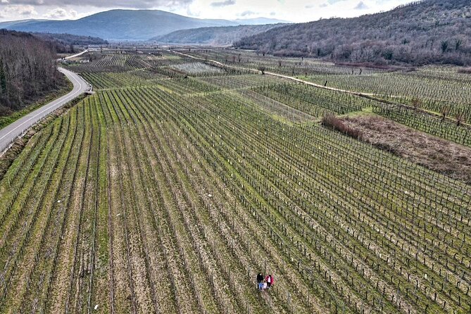 Winery Tour and Tasting with the Sommelier in KRK - Starting at Ivan Katunar in Vrbnik