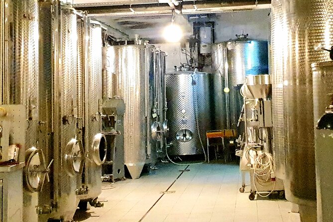 Winery Tour and Tasting with the Sommelier in KRK - Krk setting, Istrian wording, and what to confirm