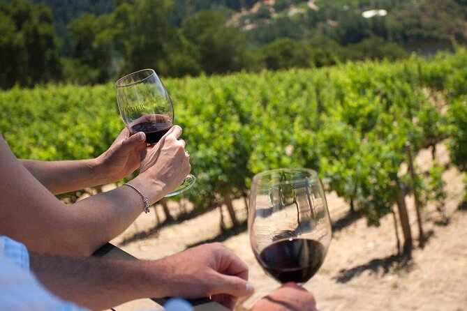 Winery Tour and Tasting - The Cellar Door tasting and six wines