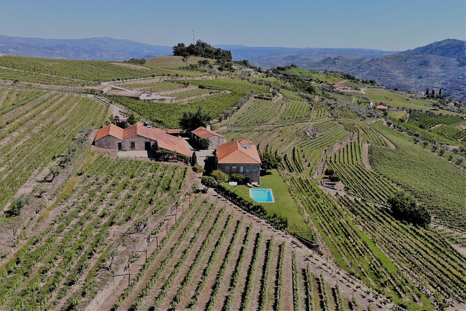 Winery Tour and Wine Tasting Quinta da Portela de Baixo in Lamego - The Views and the Pace of the Visit