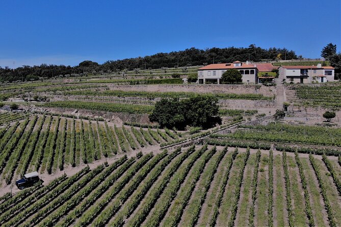 Winery Tour and Wine Tasting Quinta da Portela de Baixo in Lamego - Who Will Enjoy This Quinta Best?