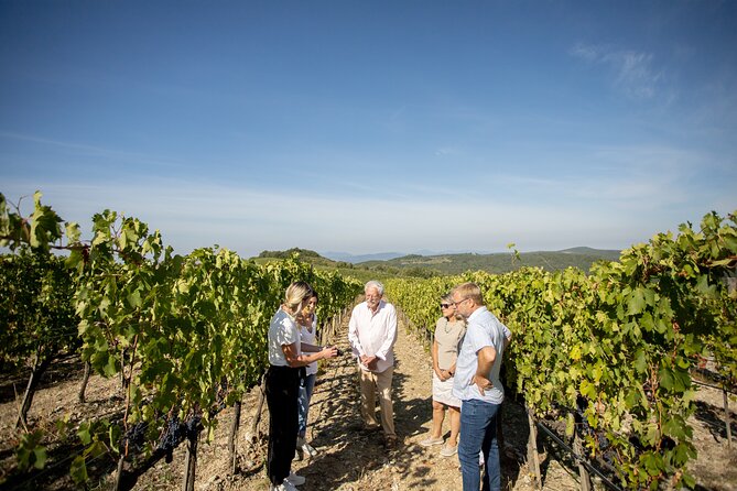 Winery Tour & Gourmet Tasting in Montalcino - Is $96.23 a fair price?