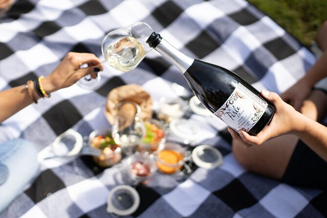 Winery Tour & picnic in the vineyard with a bottle of wine - Walking the Brunello Cru path through the vines