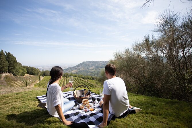 Winery Tour & picnic in the vineyard with a bottle of wine - Inside the vaulted cellar