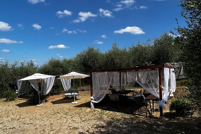 Winery Tour & Tasting in Pisa Countryside - Is $40.52 a fair price?