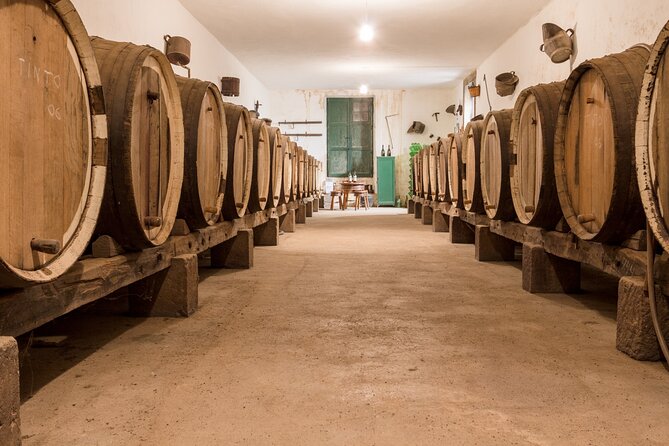 Winery Tour, Wine Museum, and Tasting in Gran Canaria - A family winery above the city