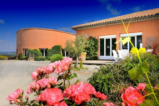 Winery Tour & Wine Tasting - Deli Plate & 3 Wines - What happens during the winery visit