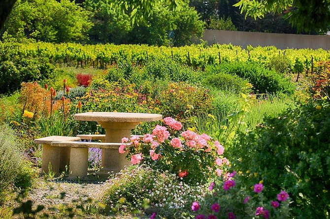 Winery Tour & Wine Tasting - Deli Plate & 3 Wines - Price and value at $83.27