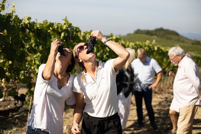 Winery tour & wine tasting in Montalcino - The setting and practical planning