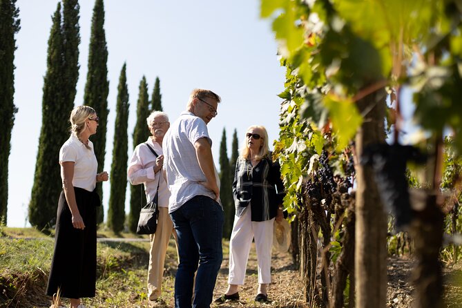 Winery tour & wine tasting in Montalcino - Who will enjoy this Corte Pavone visit