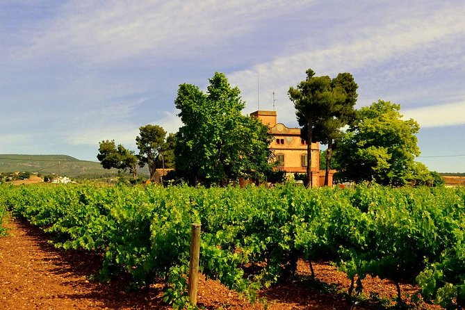 Winery Tour with Private Luxury Vehicle from Barcelona with Hotel pick up - Leaving Barcelona for the Penedes vineyards