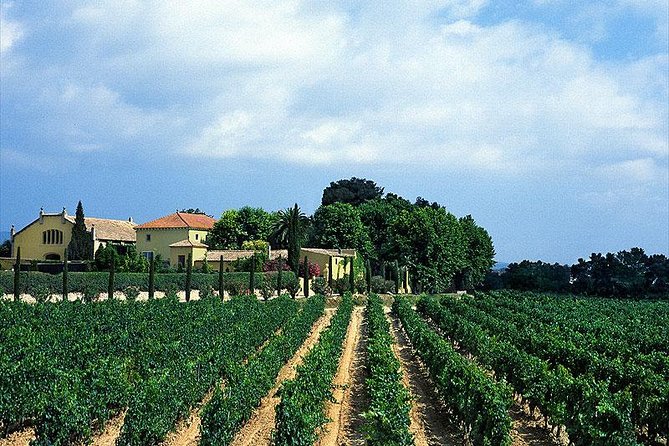 Winery Tour with Private Luxury Vehicle from Barcelona with Hotel pick up - Why Penedes makes a useful wine-country stop