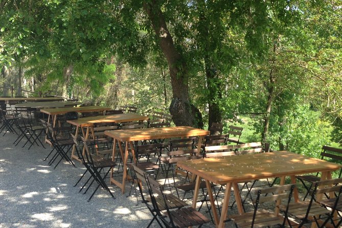 Winery tour with Wine and Olive tasting in Corfu - What happens inside the winery