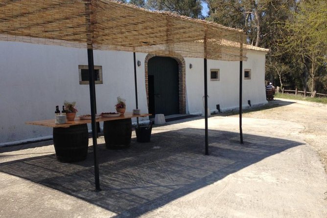 Winery tour with Wine and Olive tasting in Corfu - The people make a difference