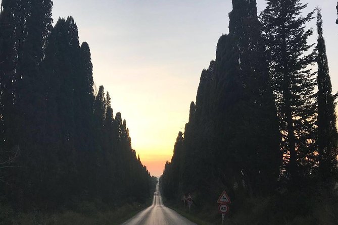 Winery tours and tastings in Bolgheri with Wine Guide - Key points at a glance