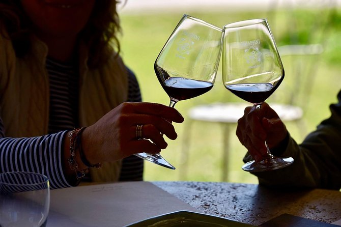 Winery tours and tastings in Bolgheri with Wine Guide - What makes the guide service worthwhile
