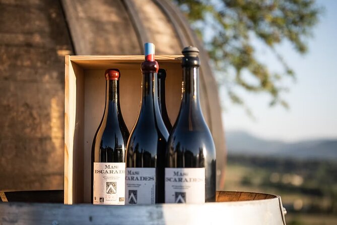 Winery visit / tasting in the vineyards, Mas des Escarades - The cellar visit gives the tasting a useful starting point