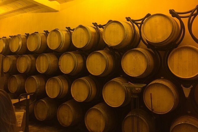 Winery Visit with Food and Wine in Carcassonne - Should you book O’Vineyards?