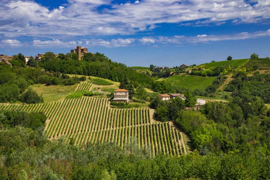 Winter Games Vineyards Milan’s Perfect Wine Tasting - Leaving Milan for Oltrepò Pavese in 45 minutes