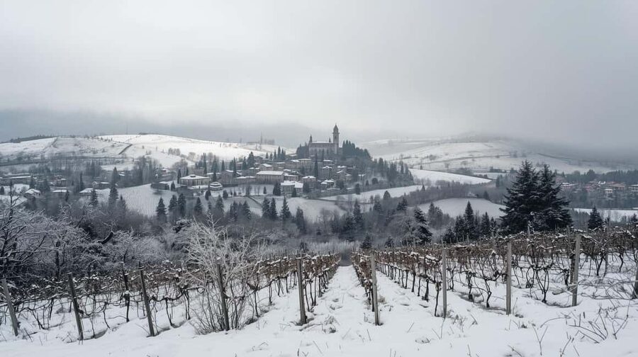 Winter Games Vineyards Milan’s Perfect Wine Tasting - Rolling hills and the Oltrepò wine country