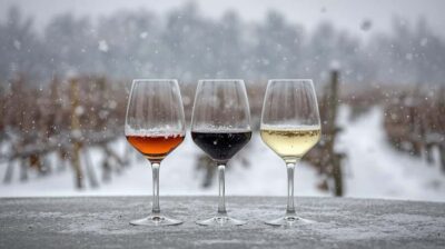 Winter Games Vineyards Milan’s Perfect Wine Tasting