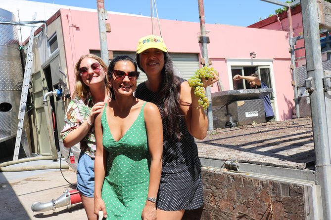 "YAMAS" - Winery tour &wine tasting - What makes the guides important