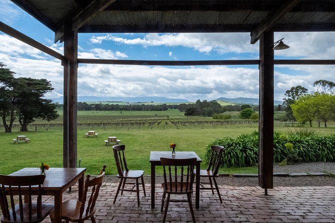Yarra Valley Wine & Winery Tour from Melbourne - All Inclusive! - Soumah: cool-climate wines and the final tasting