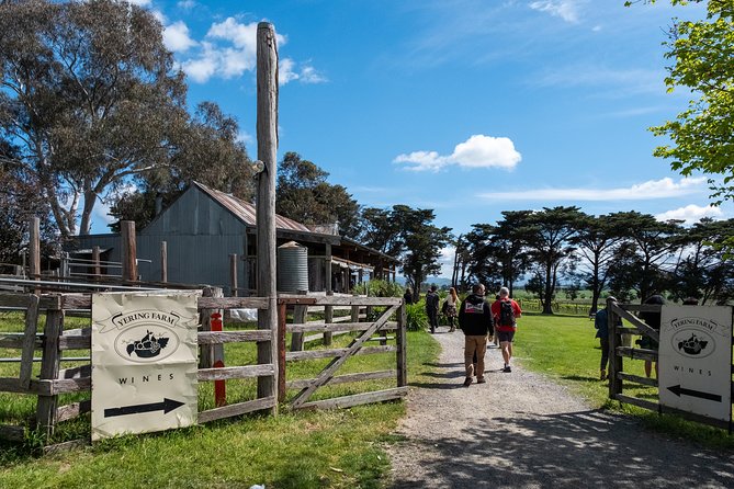 Yarra Valley Wine & Winery Tour from Melbourne - All Inclusive! - Greenstone Vineyards: start with views and a first tasting