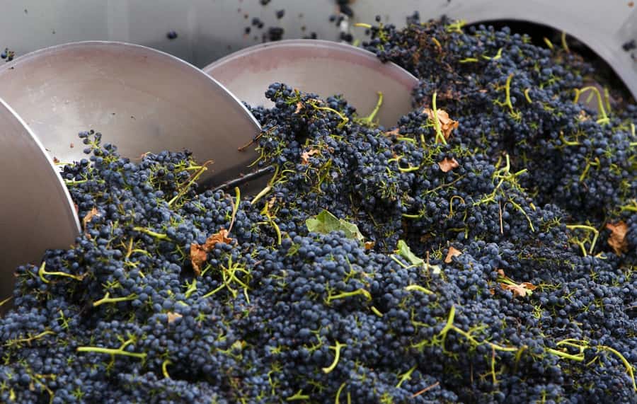Yarra Valley: Winery Tour with Lunch at Yering Station - A long, well-paced day from Melbourne to the Yarra Valley