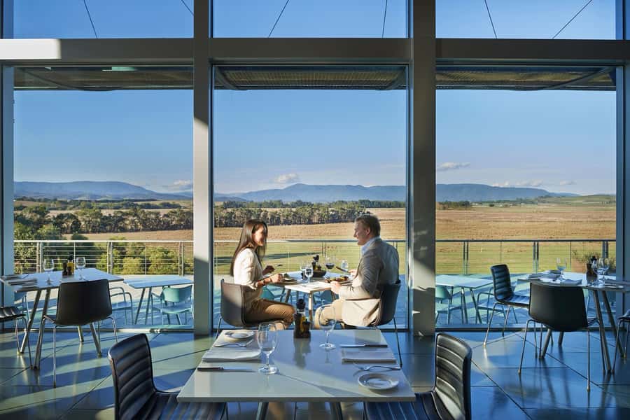 Yarra Valley: Winery Tour with Lunch at Yering Station - De Bortoli begins the day with cheese and wine
